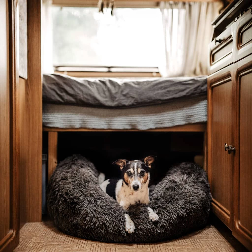 Coussin Anti-stress Gris Foncé Pour Chien – 80x80x25 Cm – Image 5