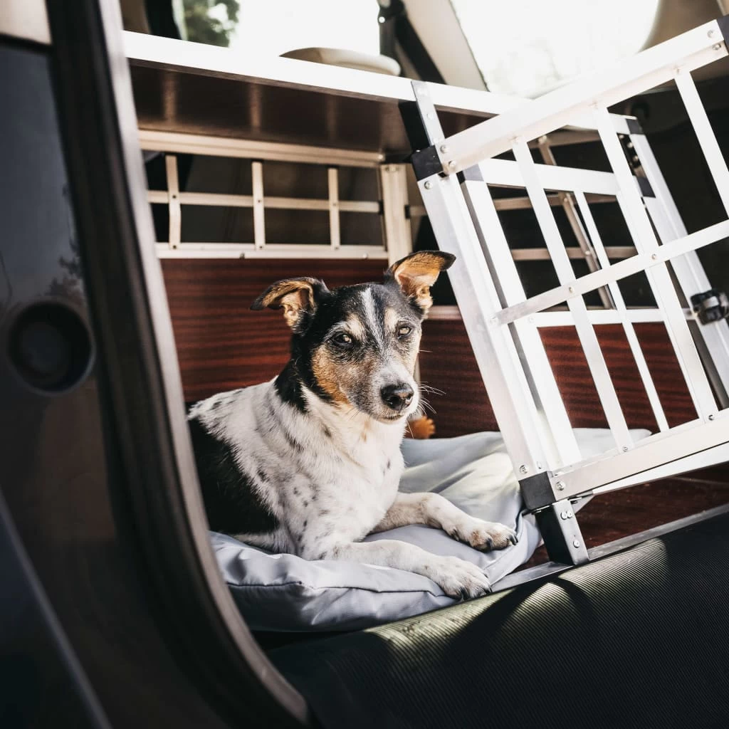 Tapis Gris Clair Déhoussable Et Imperméable Pour Chien – 47x63x6 Cm – Image 8