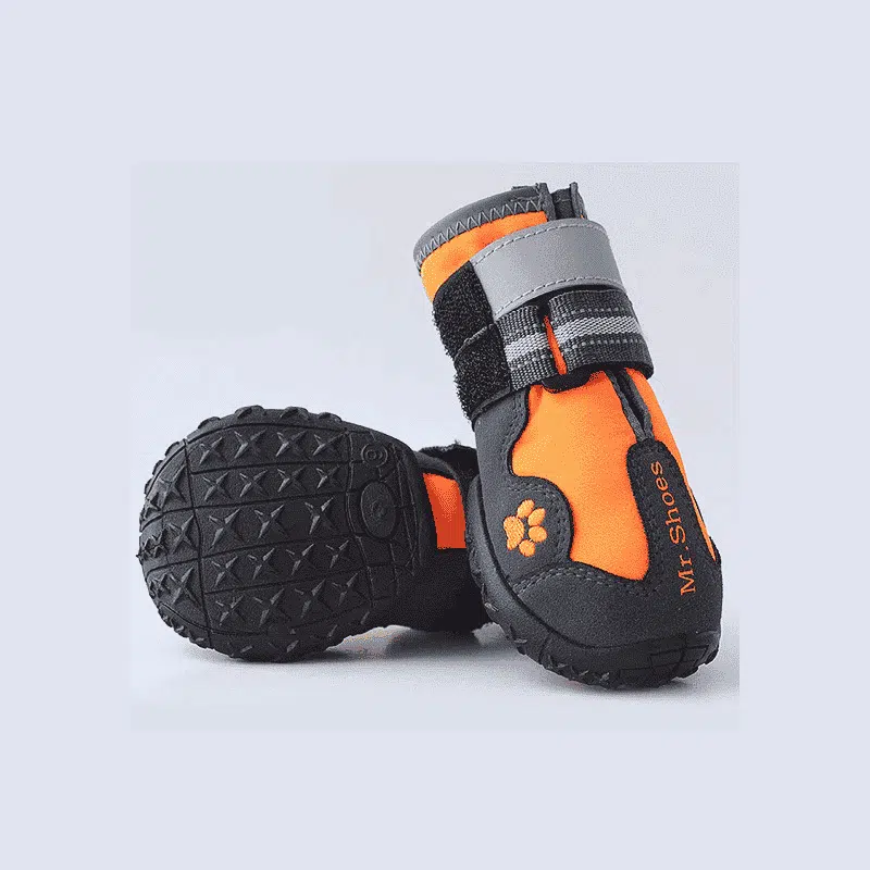 Bottes De Protection Pour Chien – Image 4