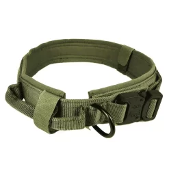 Collier Avec Poignée Pour Berger Hollandais