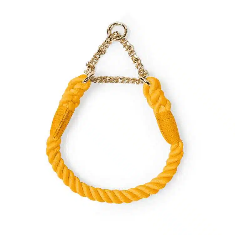 Collier Tressé Avec Chainette Pour Pinscher Nain – Image 4