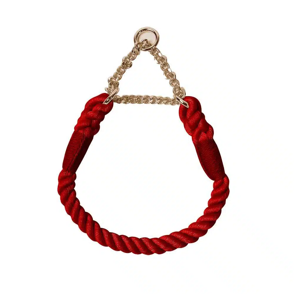 Collier Tressé Avec Chainette Pour Chow Chow – Image 3