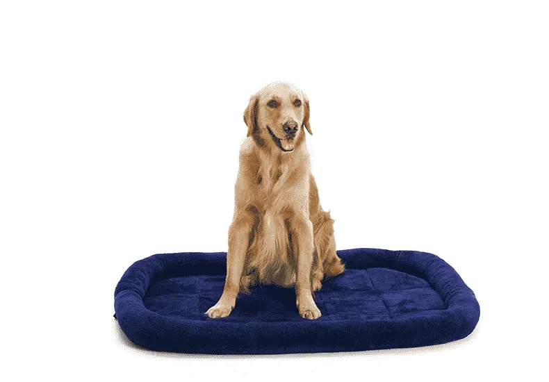 Coussin Pour Gros Chien En Velours – Image 4
