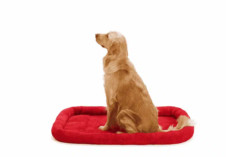 Coussin Pour Gros Chien En Velours – Image 2