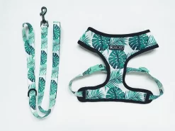 Harnais Pour Bouledogue Français Motif Tropical