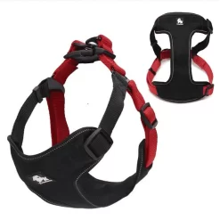 Harnais Pour Border Collie Ergonomique