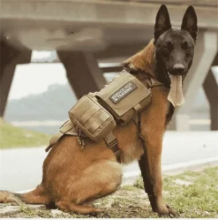 Harnais Pour Malinois Avec Molles
