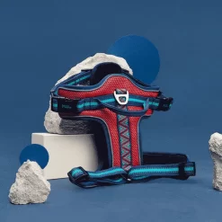 Harnais Pour Pitbull Ergonomique