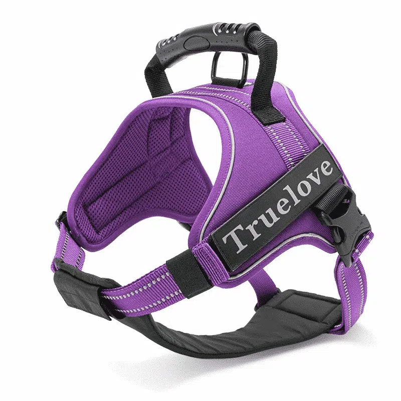 Harnais Pour Shiba Inu Avec Poignée