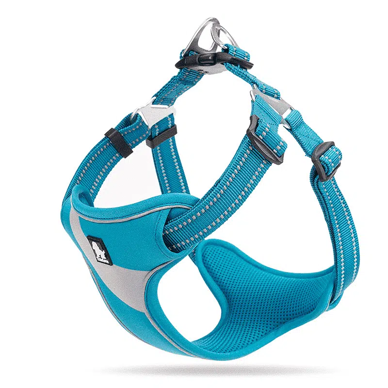 Harnais Confortable Et Réfléchissant Pour Shiba Inu – Image 3