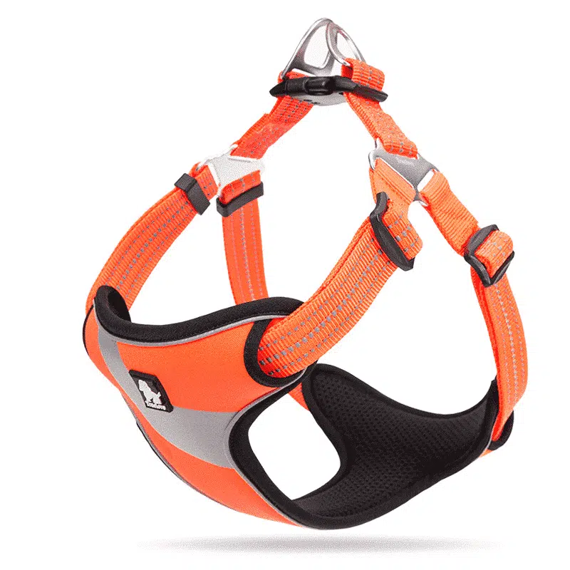 Harnais Confortable Et Réfléchissant Pour Shiba Inu – Image 2