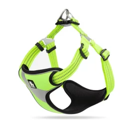 Harnais Confortable Et Réfléchissant Pour Shiba Inu