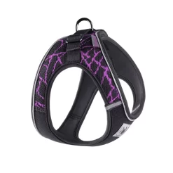 Harnais Pour Teckel Ergonomique