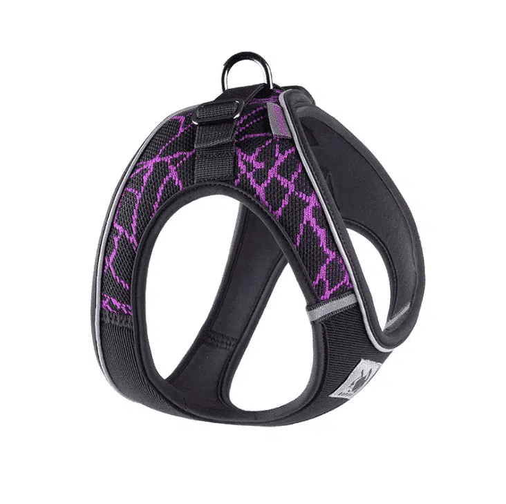 Harnais Pour Teckel Ergonomique