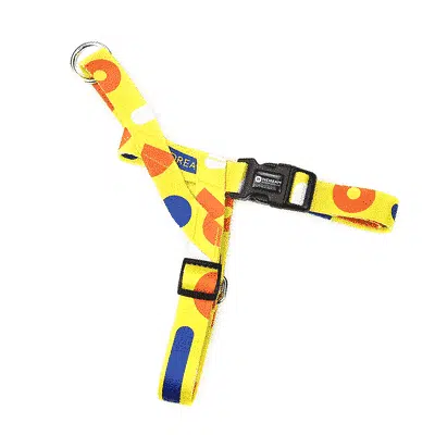 Harnais Pour Teckel Léger – Image 4