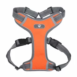 Harnais Pour Akita Américain Confortable