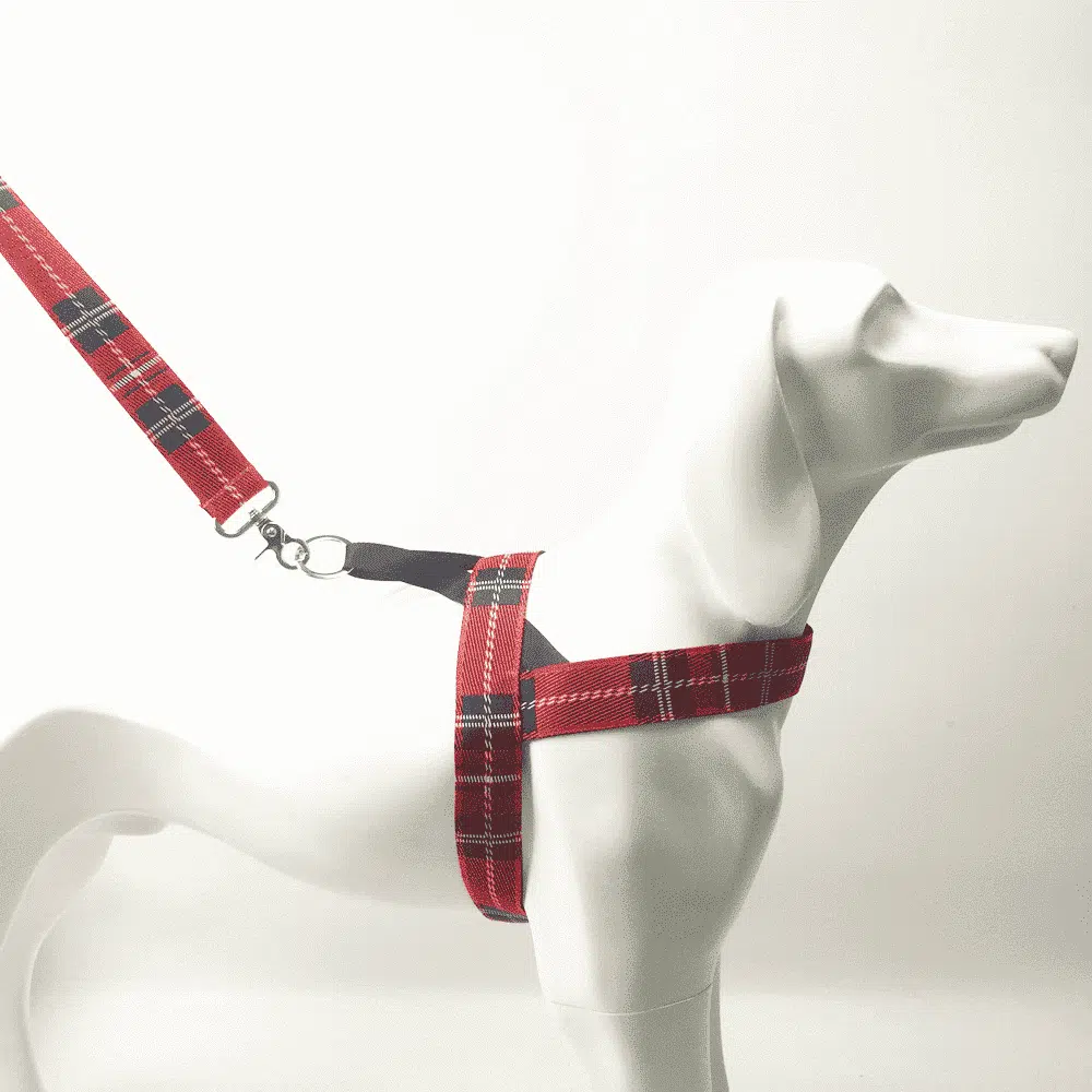 Harnais Pour Chow Chow Style Ecossais – Image 3