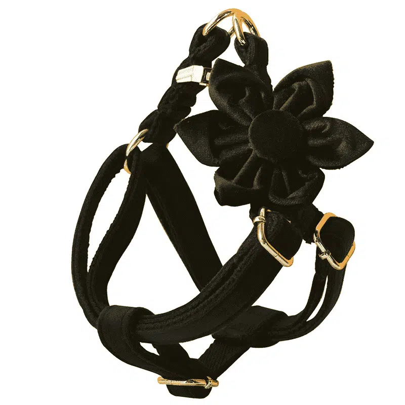 Harnais Pour Spitz En Velours – Image 2