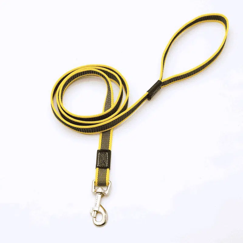 Laisse Antidérapante Pour Chien – Image 3