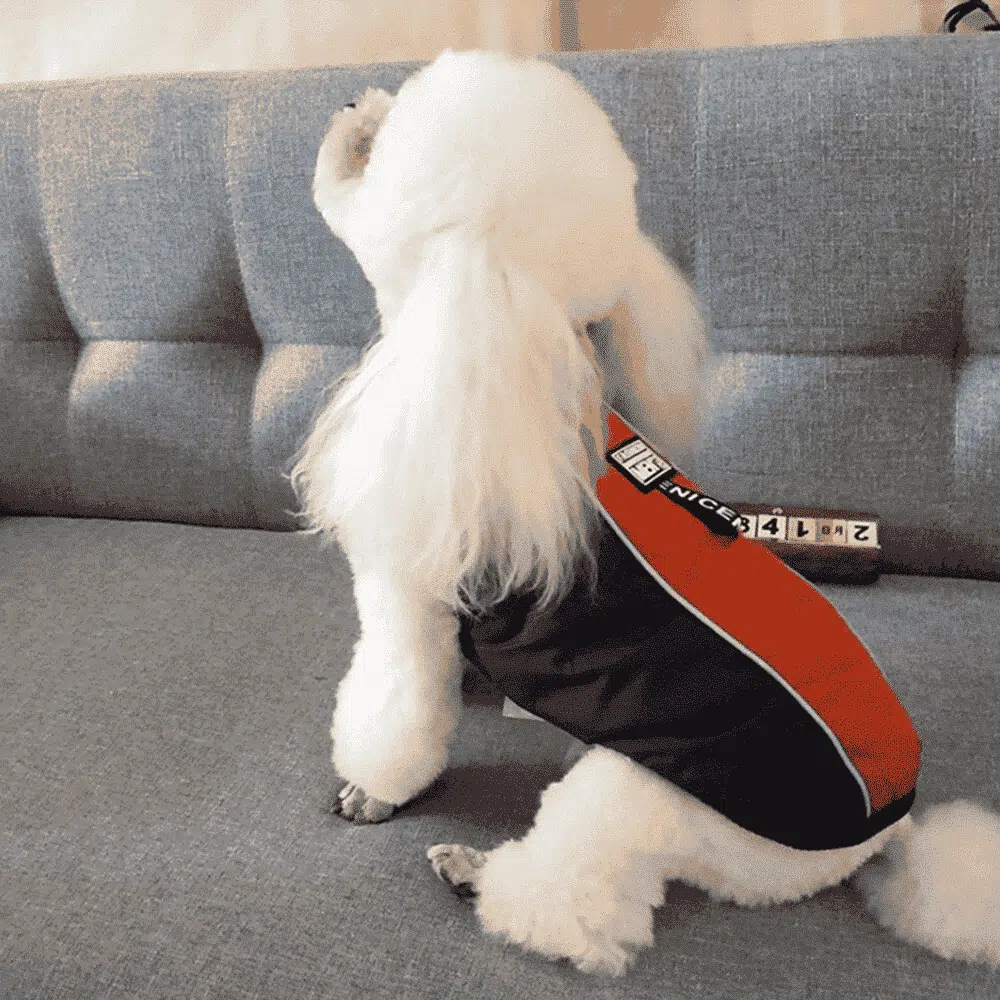 Manteau Chaud Pour Chien – Image 4