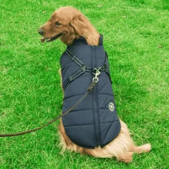 Manteau Pour Chien Avec Harnais Intégré