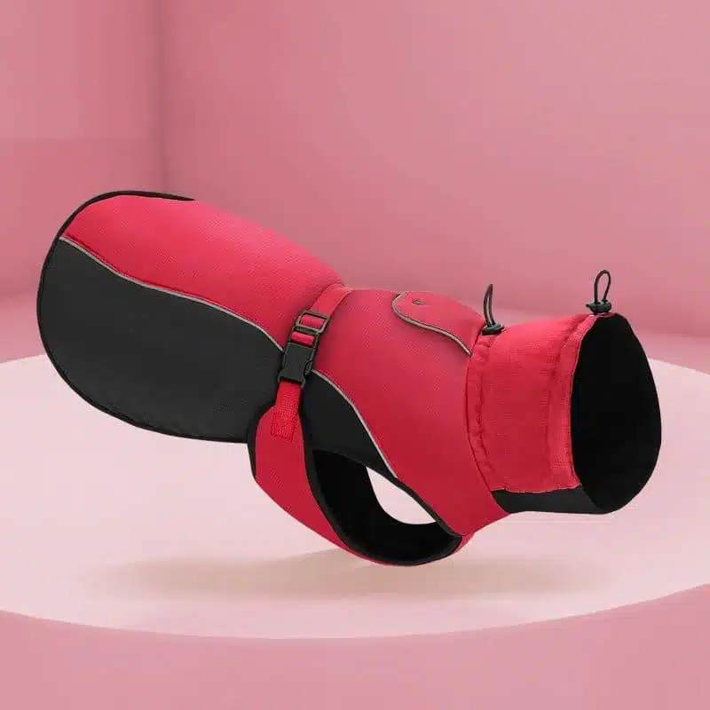 Manteau Imperméable Pour Grand Chien