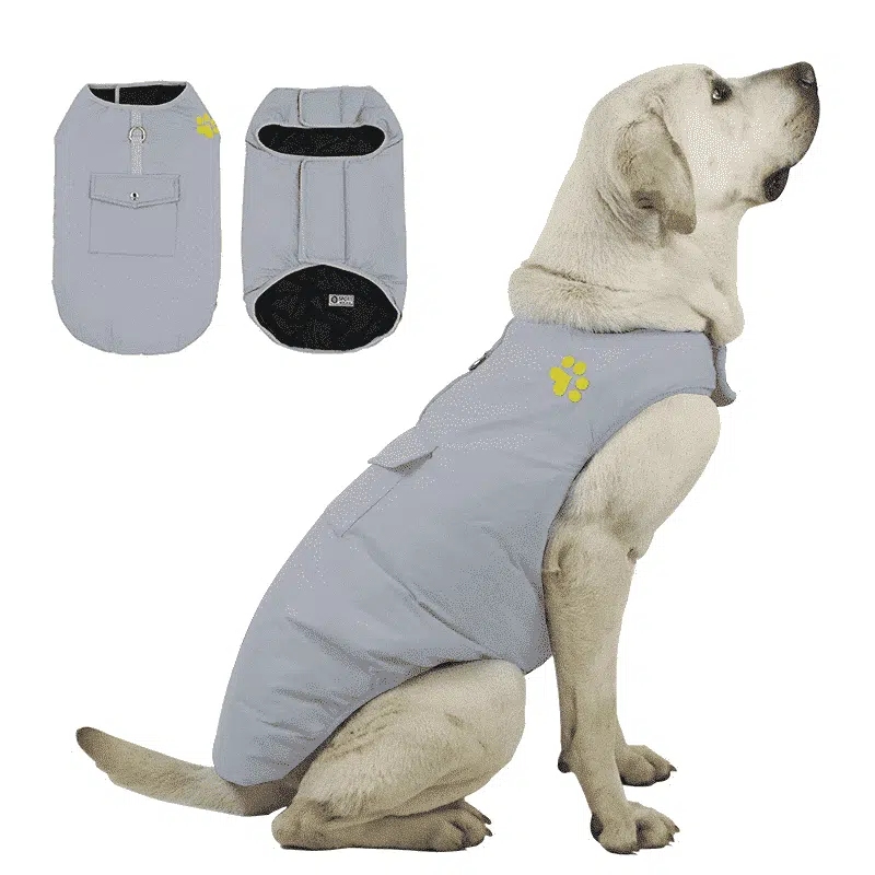Manteau Waterproof Pour Chien
