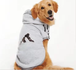 Pull Pour Chien Style Sportswear