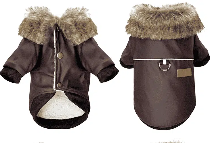Veste En Cuir Pour Chien – Image 2