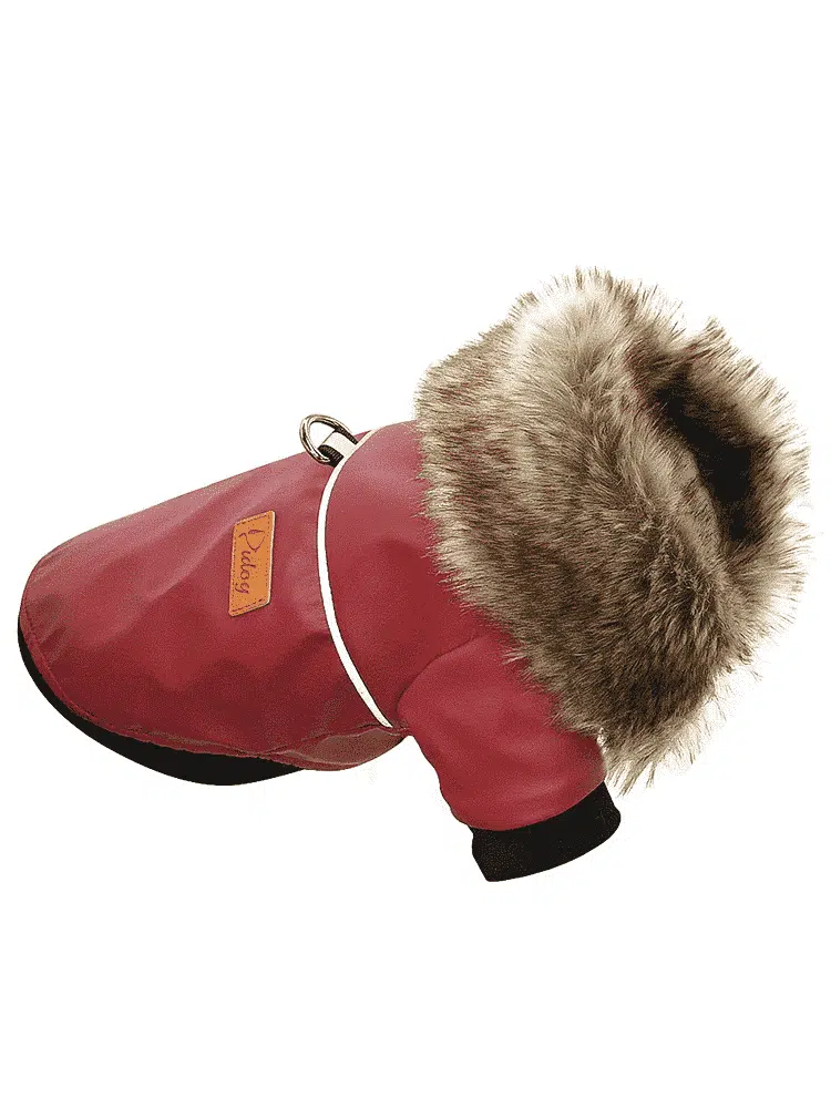 Veste En Cuir Pour Chien – Image 3