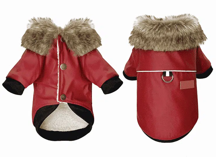 Veste En Cuir Pour Chien – Image 4