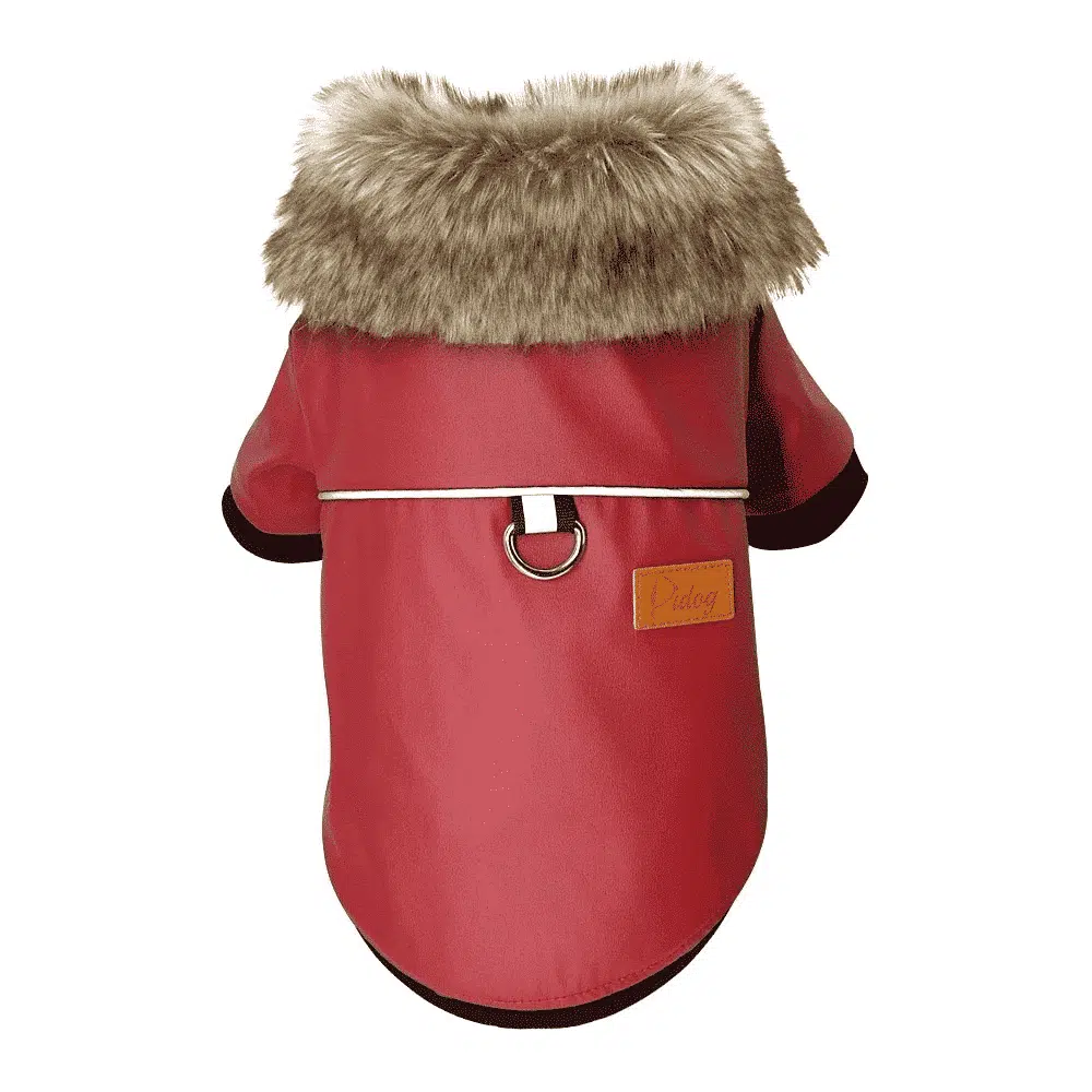 Veste En Cuir Pour Chien