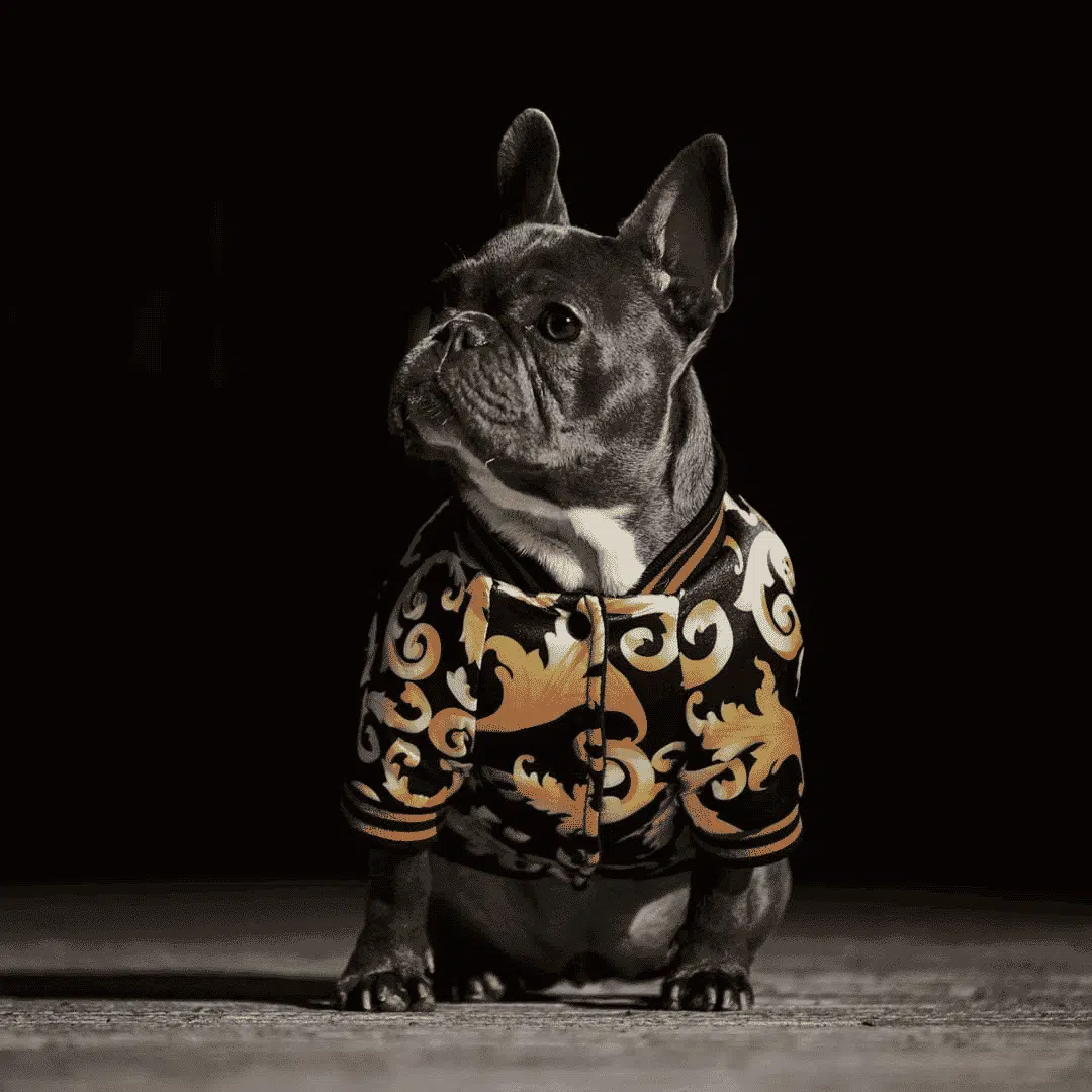 Vêtements Pour Chien Motifs Floral – Image 5