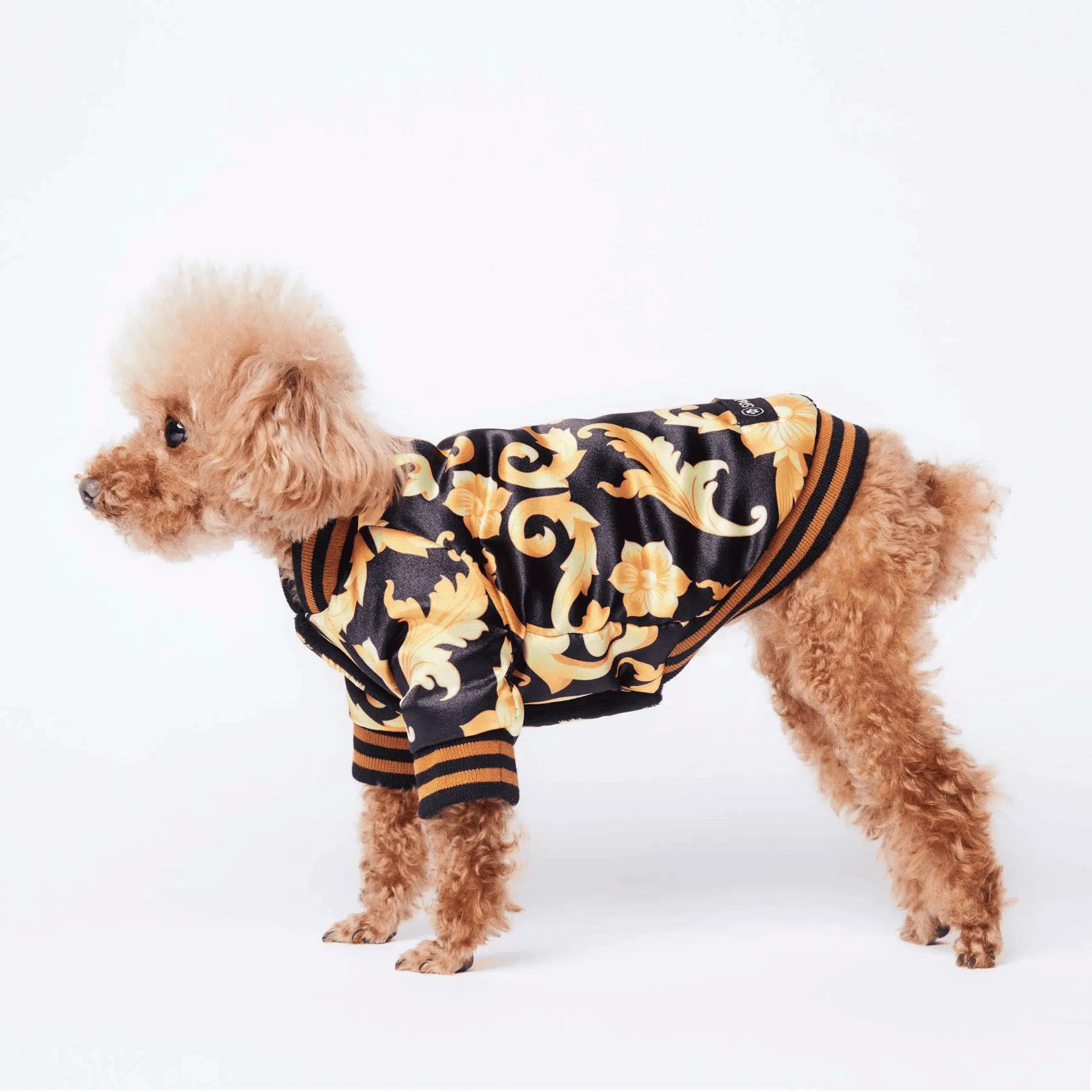 Vêtements Pour Chien Motifs Floral – Image 3