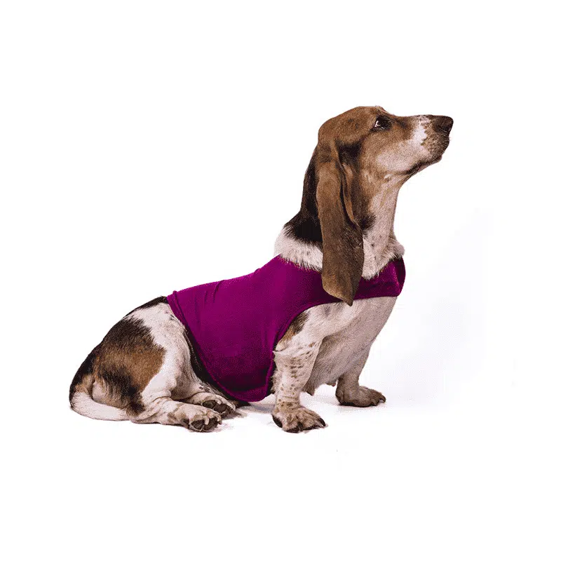 Vêtements Pour Chien Confortable – Image 3