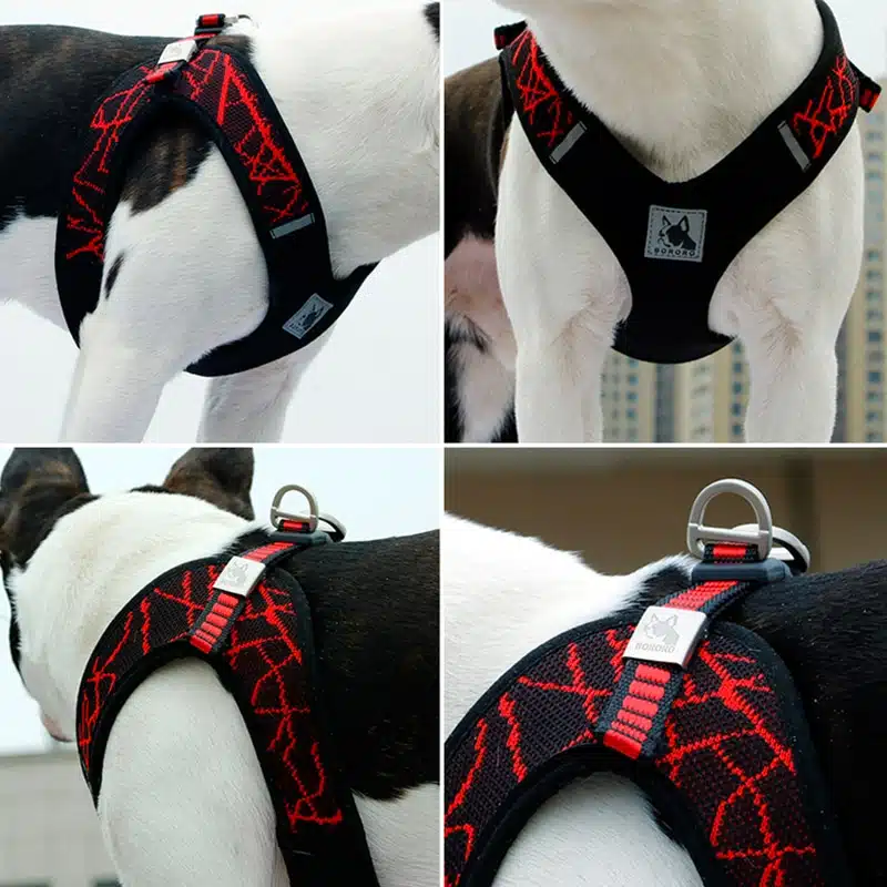 Harnais Bouledogue Français Nylon Rouge – POP – Image 3