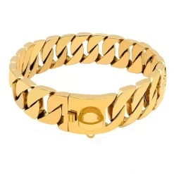 Collier Chaîne Luxe Pour Grand Chien Or