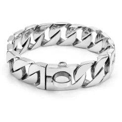 Collier Chaîne Luxe Pour Grand Chien Argent