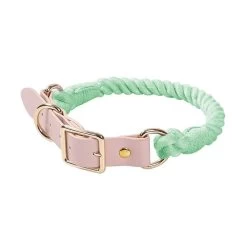 Collier Chien En Cuir Et Corde Tressé Menthe