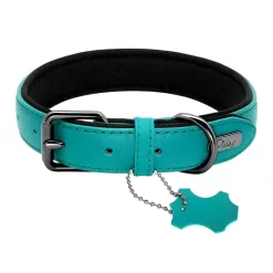 Collier Chien En Cuir Confortable Bleu