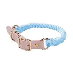 Collier Chien En Cuir Et Corde Tressé Poudre Bleu Ciel
