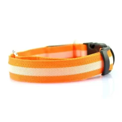 Collier Lumineux Chien à LED Orange