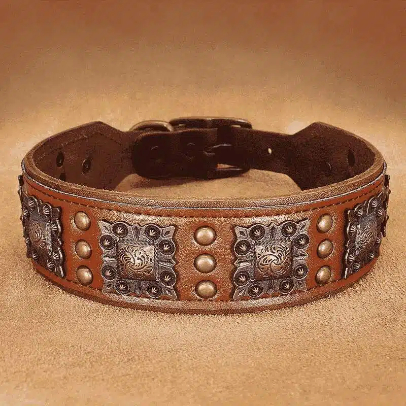 Collier Pour Border Collie à Rivets En Cuir – Image 3