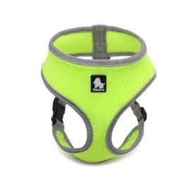 Harnais Gilet Pour Petit Chien Vert – Truelove