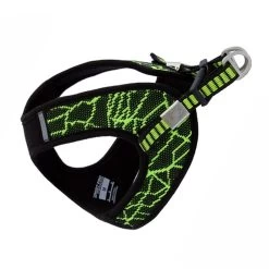 Harnais Bouledogue Français Nylon Vert – POP