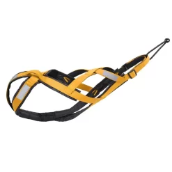 Harnais Canicross Pour Chien Jaune