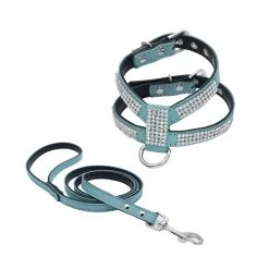 Harnais En Cuir Pour Chihuahua à Strass Bleu Et Sa Laisse