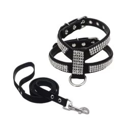 Harnais En Cuir Pour Chihuahua à Strass Noir Et Sa Laisse