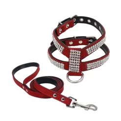 Harnais En Cuir Pour Chihuahua à Strass Rouge Et Sa Laisse