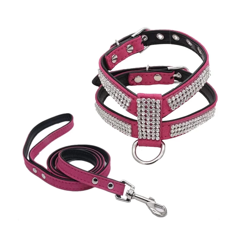 Harnais En Cuir Pour Chihuahua à Strass Rouge Cerise Et Sa Laisse